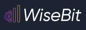 WisebIt.AI Logo